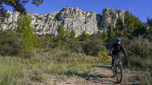 A taste of the Alpilles!