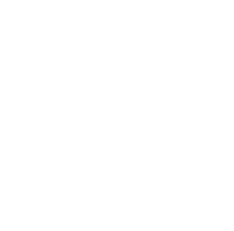 Road bike tours