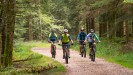 Vosges : BIKING FORESTS AND MOUNTAINS OF THE VOSGES