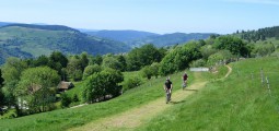 FORESTS AND MOUNTAINS OF THE VOSGES