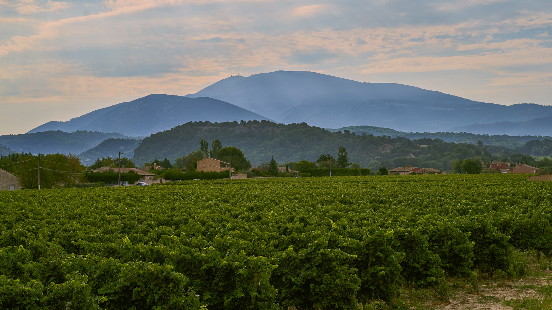 Mont Ventoux: the giant of Provence