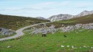 Spain : THE GRAND TOUR OF THE PICOS DE EUROPA