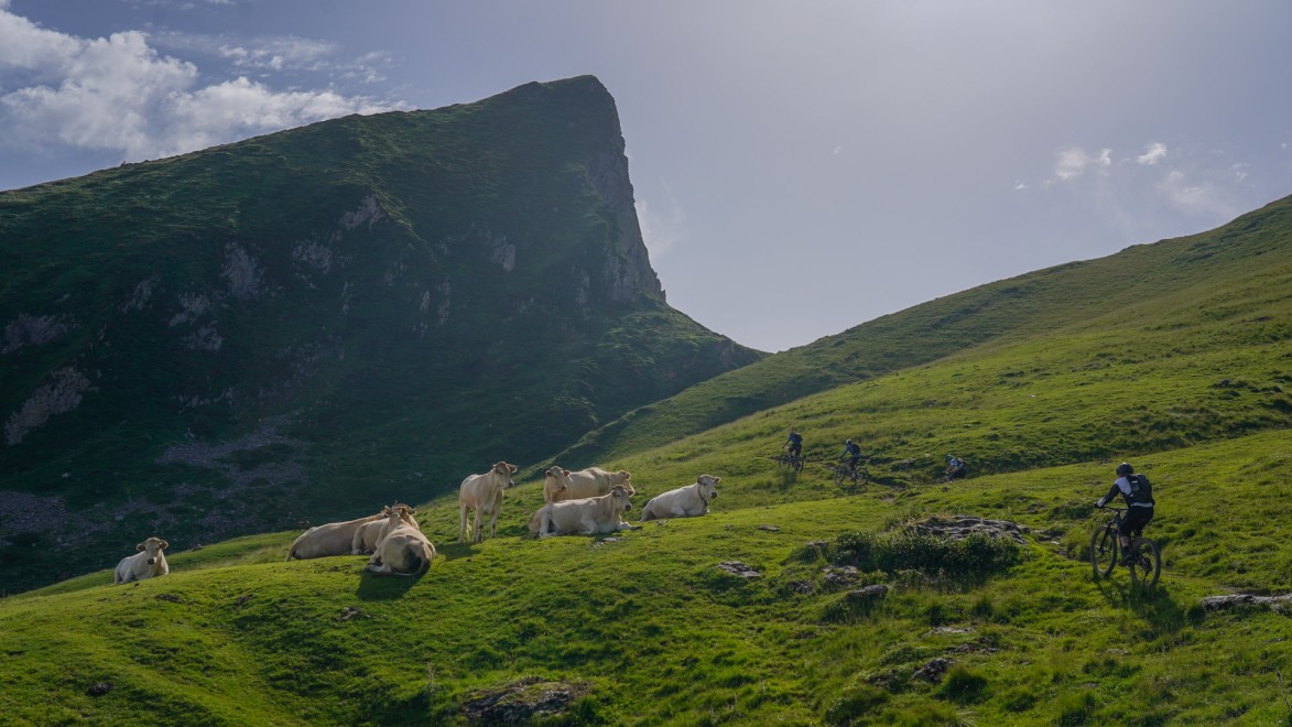 Mountainbiker on a green meadow in front of a huge cliff the in Pyrenees.