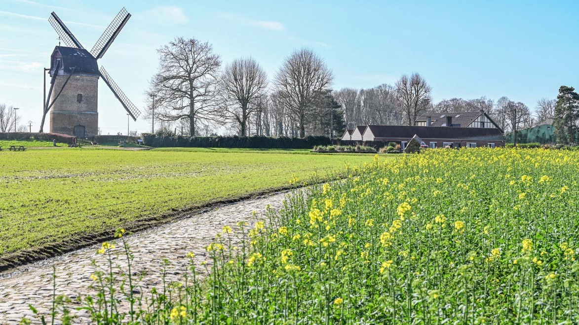 typical Roubaix landscape of a cobblestones narrow road and windmill