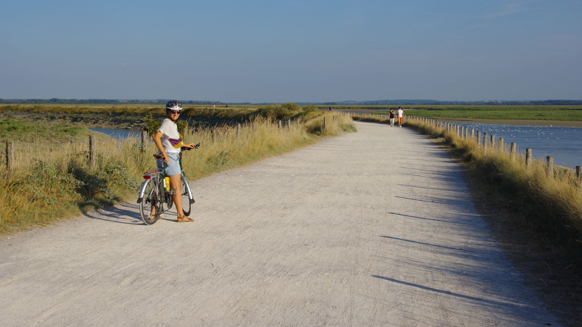 Cyclist on a dike of the Somme Bay