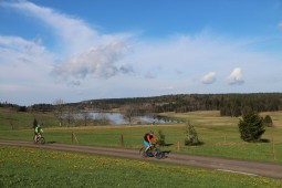 INTO THE WILD JURA