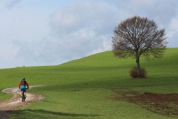 INTO THE WILD JURA