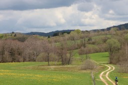 INTO THE WILD JURA