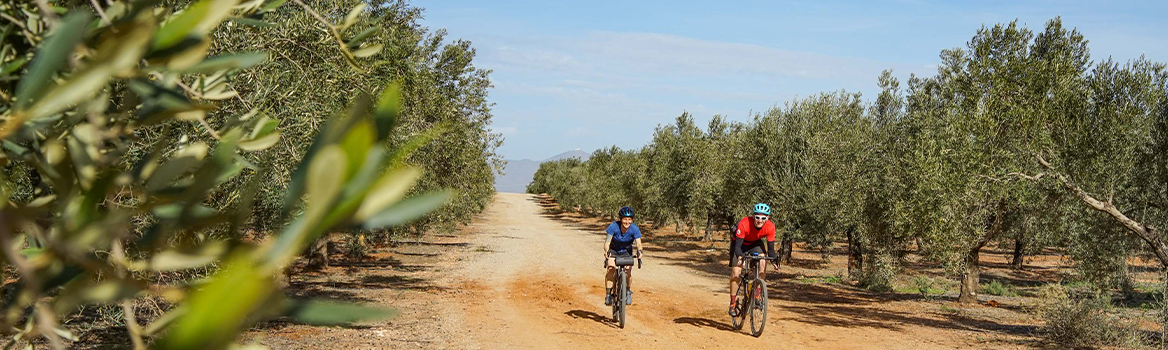 gravel bike in andalousia