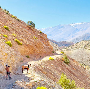 escape by gravel bike trip in marocco, a man taking picture of a donkey